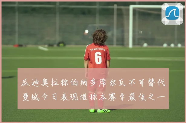 瓜迪奥拉称伯纳多席尔瓦不可替代曼城今日表现堪称本赛季最佳之一
